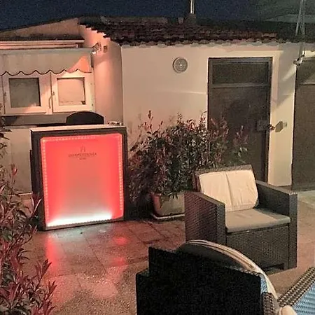 酒店 尹迪佩登萨酒店 *