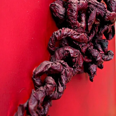 Hotel Indipendenza *